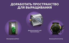 prostranstvo-dlya-vyrashchivaniya__POI2MpxBcfkXquy1.jpg
