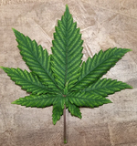 "Торчок в кепке"