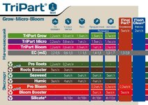 1000022381.jpg 1000022381.jpg