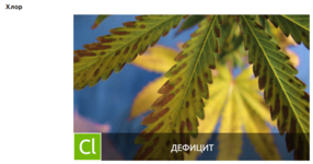 Снимок экрана 2025-12-02 095610.png