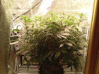 photo_2025-12-02_20-09-42 (2).jpg