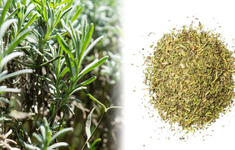 1764746454829.png 1764746454829.png