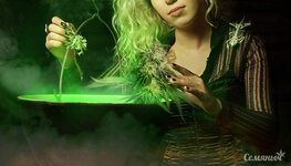 lekarstvennye-travy-kotorye-mozhno-smeshivat-s-konopley__EJhqdcCODpA3JfiB.jpg lekarstvennye-travy-kotorye-mozhno-smeshivat-s-konopley__EJhqdcCODpA3JfiB.jpg