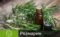 rozmarin__jlDoZDrTbQKoWgoC.jpg rozmarin__jlDoZDrTbQKoWgoC.jpg