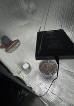 Первый опыт подъема растишки