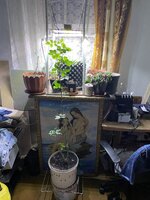 IMG_1833.jpeg IMG_1833.jpeg