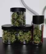 Sugar Black Rose, стелс, кокос.