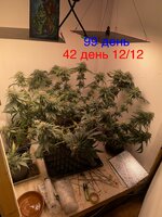 Сказки из тумбы для врослых детин! 3.0