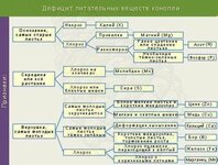 деф пит вещ .jpg