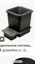 IMG_3365.jpeg IMG_3365.jpeg