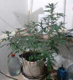 20251215_153436.jpg 20251215_153436.jpg