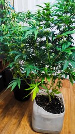 1000044692.jpg 1000044692.jpg