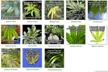 дефицит в целом.png