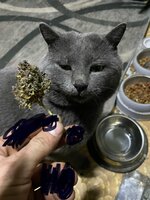 IMG_1994.jpeg IMG_1994.jpeg