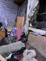 IMG_1164.jpeg IMG_1164.jpeg