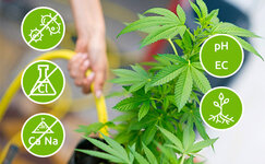 preimushchestva-obratnogo-osmosa__rEn0ovz1FOiBRJWl.jpg preimushchestva-obratnogo-osmosa__rEn0ovz1FOiBRJWl.jpg