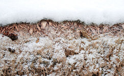 kak-uhazhivat-za-zemlej-zimoj-4-klyuchevyh-shaga__NztYG6Py2dItFXew.jpg kak-uhazhivat-za-zemlej-zimoj-4-klyuchevyh-shaga__NztYG6Py2dItFXew.jpg