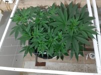 20251222_203701.jpg 20251222_203701.jpg