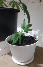 20251222_203718.jpg 20251222_203718.jpg