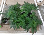 20251222_203954.jpg 20251222_203954.jpg