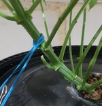 20251222_203929.jpg 20251222_203929.jpg