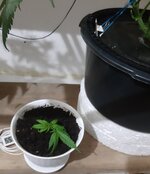 20251222_204011.jpg 20251222_204011.jpg