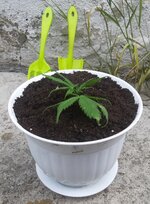 20251223_071508.jpg 20251223_071508.jpg