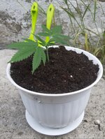 20251223_071519.jpg 20251223_071519.jpg