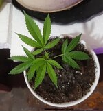 20251223_072141.jpg 20251223_072141.jpg