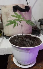 20251223_072124.jpg 20251223_072124.jpg