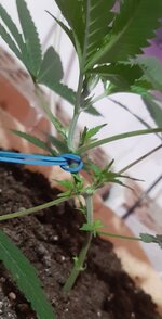 20250907_084027.jpg 20250907_084027.jpg