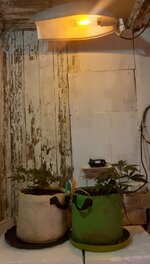 20251223_080150.jpg 20251223_080150.jpg