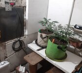 20251223_080211.jpg 20251223_080211.jpg