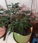 20251223_082215.jpg 20251223_082215.jpg