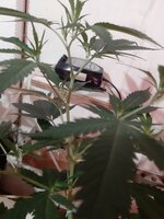 20251223_082200.jpg 20251223_082200.jpg