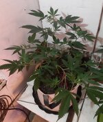 20251223_082528.jpg 20251223_082528.jpg