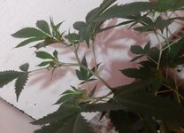 20251223_082516.jpg 20251223_082516.jpg