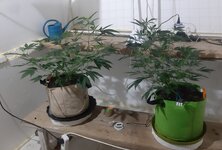 20251223_082841.jpg 20251223_082841.jpg