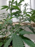 20251223_083334.jpg 20251223_083334.jpg