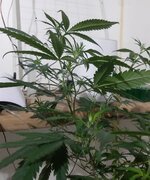 20251223_083241.jpg 20251223_083241.jpg