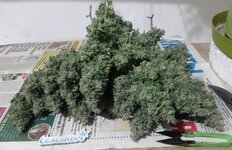 20251223_083836.jpg 20251223_083836.jpg