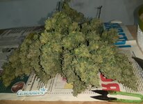 20251223_083824.jpg 20251223_083824.jpg