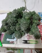 20251223_084029.jpg 20251223_084029.jpg