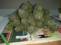 20251223_084014.jpg 20251223_084014.jpg