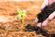 1766508954973.png 1766508954973.png