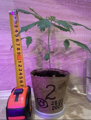 18.04. фото 2.jpeg