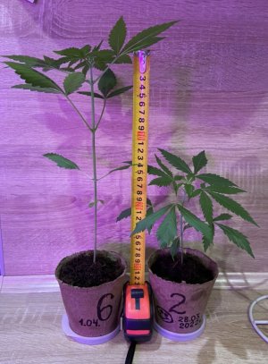 18.04.фото 4.jpeg