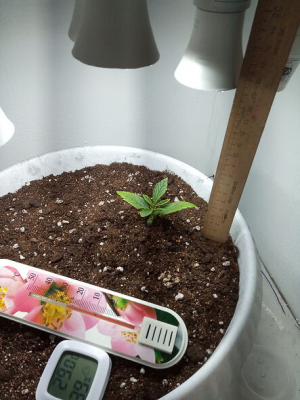 1653146062598.png 1653146062598.png