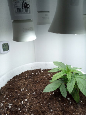 1653146273865.png 1653146273865.png