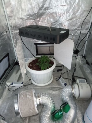 1653149115704.png 1653149115704.png